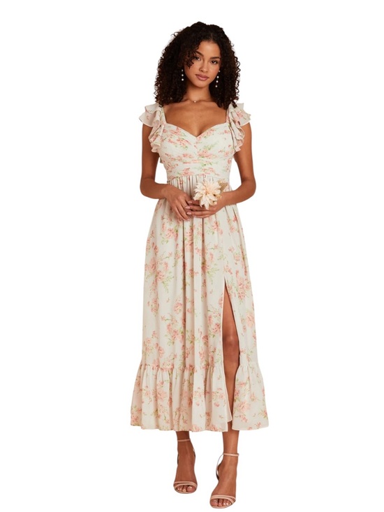 Birdy Grey Dresses & Skirts - Birdie Grey Michelle chiffon maxi dress in whimsical blooms ruffle floral
